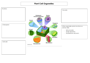 Animal and Plant Cell Function Activity