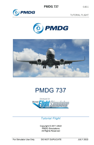 PMDG 737 MSFS Tutorial