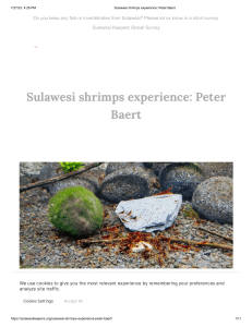 Sulawesi shrimps experience  Peter Baert