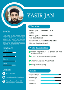 Yasir jan Professional CV