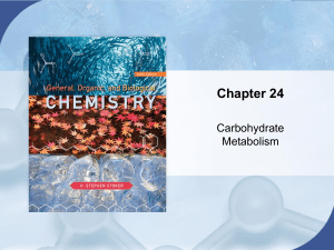 Carbohydrate Metabolism Biochemistry