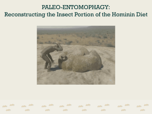 Entomophagy and Evolution