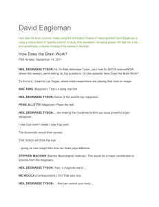 Mirrir Neurons David Eagleman