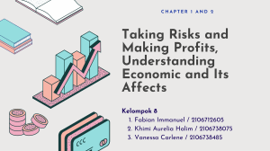 Taking Risks and Making Profits, Understanding Economic and Its Affects