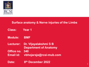 Surface anatomy, Nerve injuries