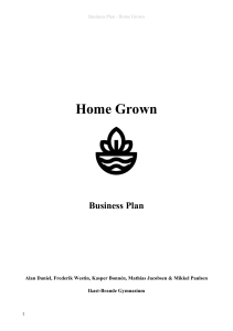 Business Competition Home Grown Business Plan