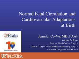 Fetal-Circulation-and-CV-adaptations-at-birth-