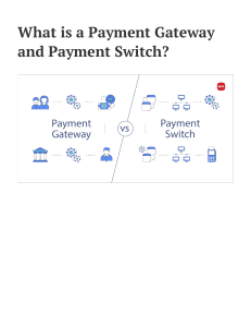 Payment Gateway Vs Switch