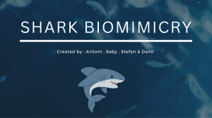 Shark Biomimicry