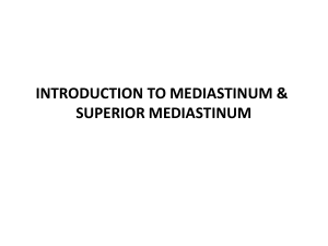 7. INTRODUCTION TO MEDIASTINUM 