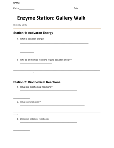 [Template] Enzyme Station Student Worksheet