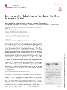 Genetic Analysis of Babesia Isolates from Cattle with Clinical Babesiosis in Sri Lanka