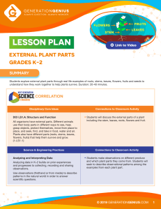 Parts-of-a-Plant-Lesson-Plan-GG
