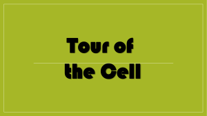 01 Tour of the Cell (student)