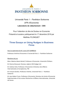 PhD Thesis Matthieu Plonquet - Three essays on using Nudges in business firms