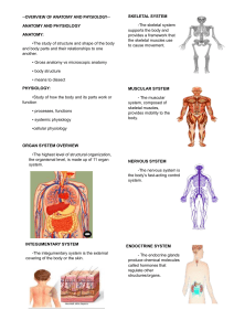 OVERVIEW OF ANATOMY AND PHYSIOLOGY