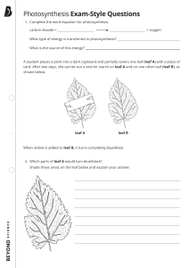 Photosynthesis Exam Style Questions 1