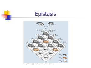 Bio epistasis