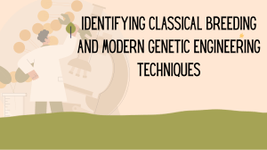 Classical Breeding vs genetic engineering 