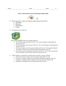 Unit 2 Cell Structures and Cell Functions Study Guide 2