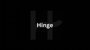Nextleap-Hinge-PM