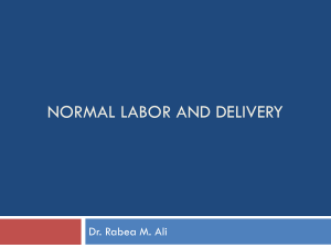 LABOR-AND-DELIVERY-2