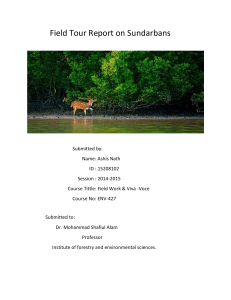 Field Tour Report on Sundarbans