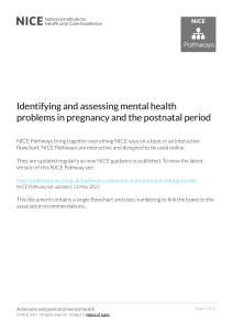 antenatal-and-postnatal-mental-health-identifying-and-assessing-mental-health-problems-in-pregnancy-and-the-postnatal-period