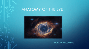 1678345964745 Eye Anatomy