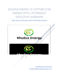 100 MW Solar Project Executive Summary