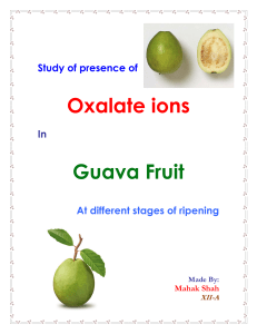 PRESENCE OF OXALATIVE IONS IN GUAVA