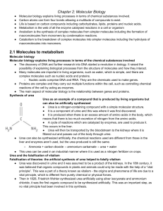Chapter 2  Molecular Biology Notes