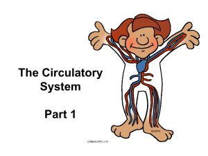 1- The Circulatory System Part 1