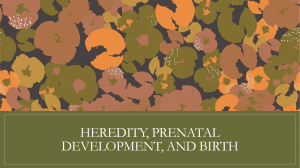 Heredity, Prenatal