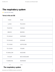 The respiratory system Flashcards   Quizlet