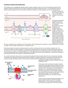 Mitochondrial Electron Transport Chain Reading Page