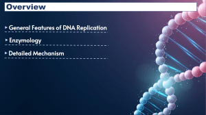 DNA REPLICATION REPORT