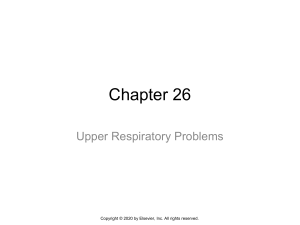 Upper Respiratory Problems