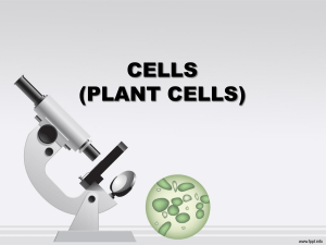 CLS 1 LESSON 1.1 PLANT CELLS -