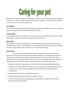 Caring for your pet (work also most done)