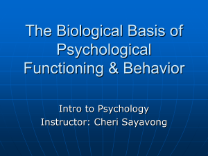 Modules 7-9 - Biological Basis of Psychological Functioning  Behavior (with lecture notes)