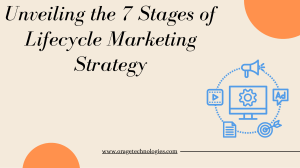 Unveiling the 7 Stages of Lifecycle Marketing Strategy