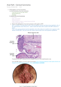 Cervical carcinoma notes