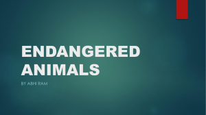 ENDANGERED Animals