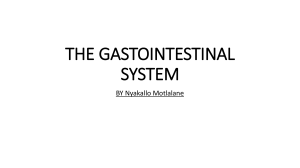 THE GASTOINTESTINAL SYSTEM