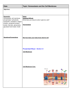 The Cell Membrane (2.3 and 2.4) Note Sheet