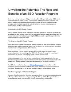 Unveiling the Potential  The Role and Benefits of an SEO Reseller Program