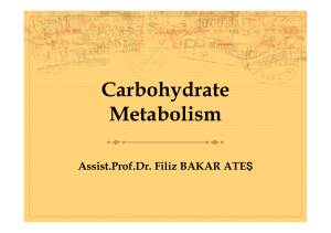 Carbohydrate metabolism-1