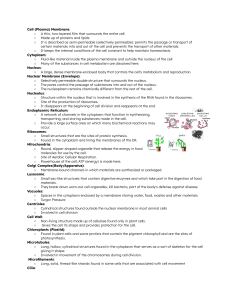Cell Organelles Quiz Review Sheet
