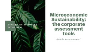 Sustainable Development - Microeconomic Sustainability - CSR